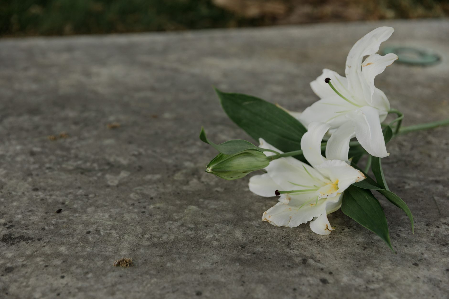 Fleurs de deuil : quelles compositions offrir