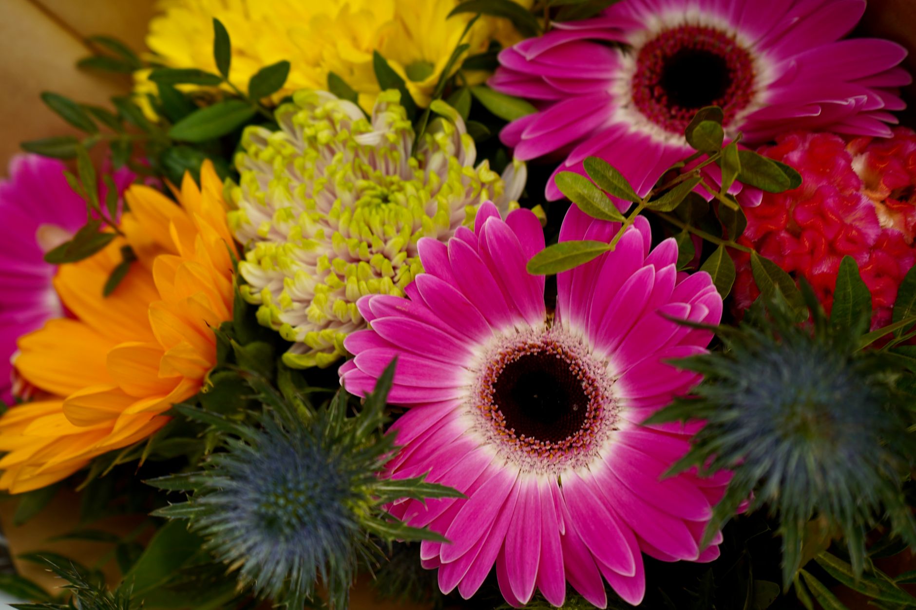 Composer un bouquet de saison chez soi